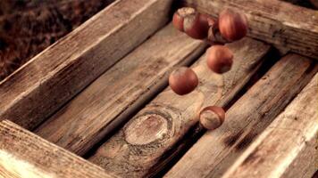 Super slow motion hazelnuts fall on a wooden tray. Against a dark background. Filmed on a high-speed camera at 1000 fps. video