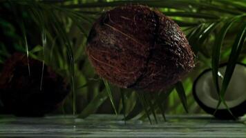 The coconut breaks in half with splashes. Filmed on a high-speed camera at 1000 fps. High quality FullHD footage video