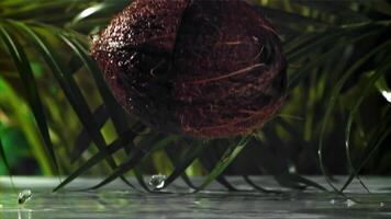 The coconut breaks in half with splashes. Filmed on a high-speed camera at 1000 fps. High quality FullHD footage video