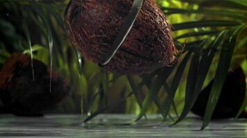 The coconut is broken in half with a splash of milk. Filmed on a high-speed camera at 1000 fps. High quality FullHD footage video