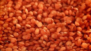 Falling lentil seeds. Filmed on a high-speed camera at 1000 fps. High quality FullHD footage video
