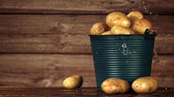 Bucket with potatoes. Filmed is slow motion 1000 fps. High quality FullHD footage video