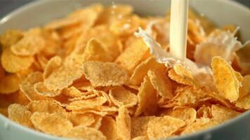 Super slow motion milk pours into a plate of cornflakes. Macro background. Filmed on a high-speed camera at 1000 fps. video