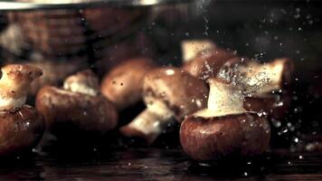 super langzaam beweging Aan de champignons druppels water. Aan een zwart achtergrond.gefilmd Aan een hoge snelheid camera Bij 1000 fps. video