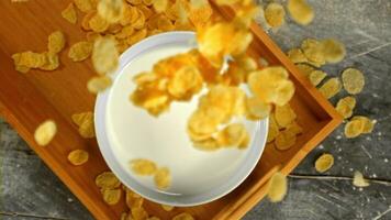 Super schleppend Bewegung im ein Teller von Milch fallen Cornflakes. auf ein grau Hintergrund.gefilmt beim 1000 fps. video