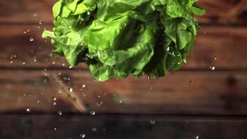 súper lento movimiento con lechuga hojas goteante gotas de agua.filmada en un alta velocidad cámara a 1000 fps. en un de madera antecedentes. video