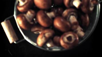 Super slow motion of the colander with mushrooms falls on the water with splashes. Filmed at 1000 fps.On a black background. video