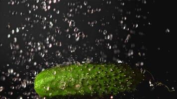 Super slow motion on one fresh cucumber falling drops of water. On a black background. Filmed on a high-speed camera at 1000 fps. High quality FullHD footage video