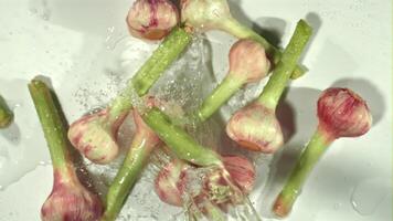 Super slow motion garlic falls into the ode with splashes on a white background. Filmed on a high-speed camera at 1000 fps. High quality FullHD footage video