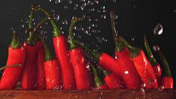 super langzaam beweging Aan peulen van rood chili peper in een rij druppels water. Aan een zwart achtergrond. gefilmd Aan een hoge snelheid camera Bij 1000 fps. hoog kwaliteit full HD beeldmateriaal video