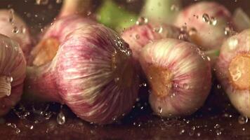 Super slow motion water droplets fall on the garlic. Filmed on a high-speed camera at 1000 fps.High quality FullHD footage video