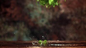 Super slow motion mint leaves will fall on the table. On the rustic background. Filmed on a high-speed camera at 1000 fps. video