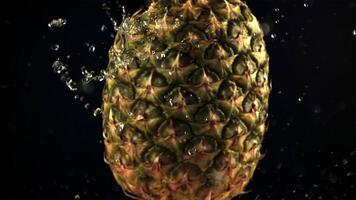 Super schleppend Bewegung mit das rotierend Ananas Tröpfchen von Wasser. auf ein schwarz Hintergrund. gefilmt auf ein schnelle Geschwindigkeit Kamera beim 1000 fps. video