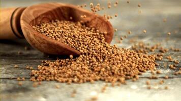 Super slow motion in a wooden scoop on the table falling mustard grains. On a gray background. Filmed on a high-speed camera at 1000 fps. video