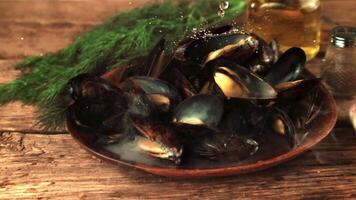 Super slow motion on the mussels in the plate fall water. On a wooden background. Filmed on a high-speed camera at 1000 fps. video