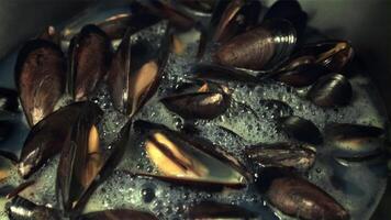 súper lento movimiento mejillones son hervido en hirviendo agua. macro antecedentes. filmado en un alta velocidad cámara a 1000 fps. video