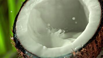 leite é derramado para dentro metade uma coco com uma splash. filmado em uma alta velocidade Câmera às 1000 fps. Alto qualidade fullhd cenas video