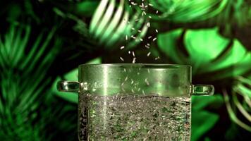 Rice falls into a pot of boiling water. Against a background of green leaves. Filmed is slow motion 1000 fps. video