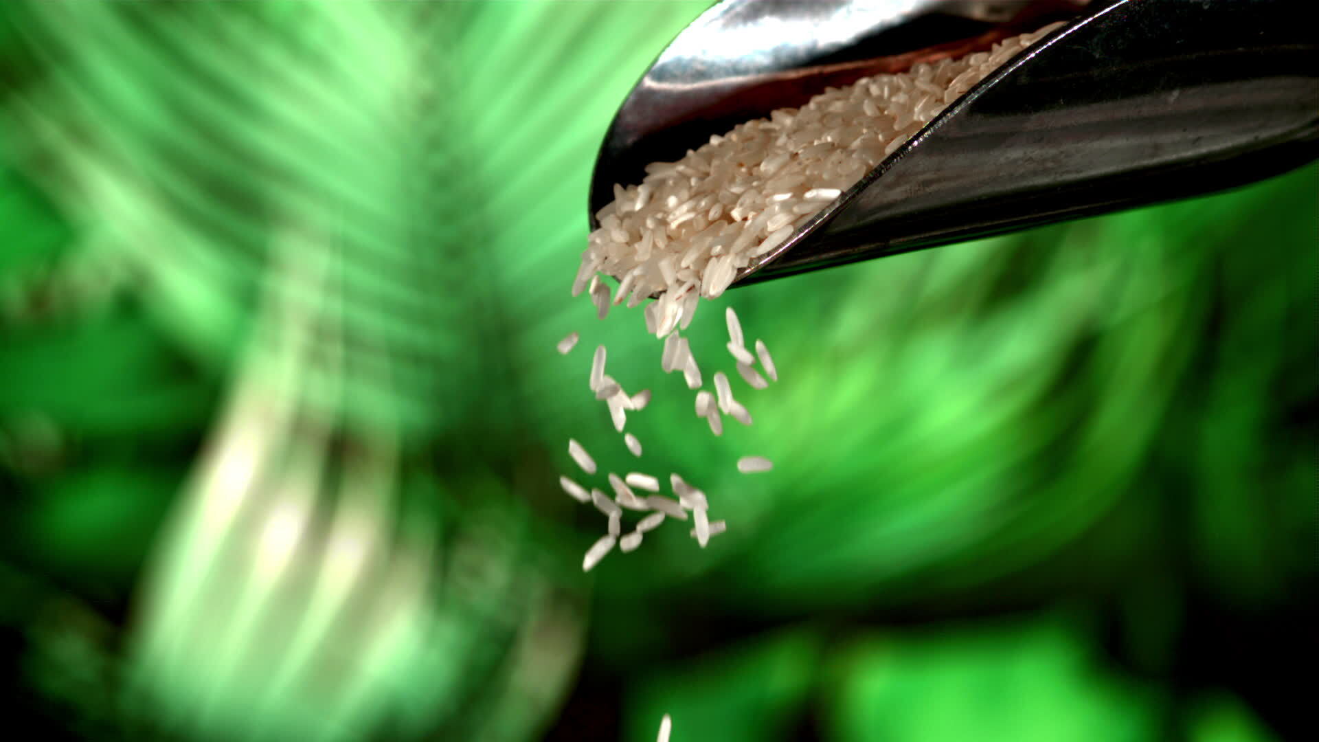 Uncooked rice falls from the scoop. Against a background of green