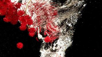 Red currant falls into a whirlpool. Filmed is slow motion 1000 fps. High quality FullHD footage video