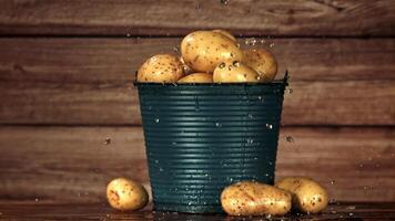 Bucket with potatoes. Filmed is slow motion 1000 fps. High quality FullHD footage video