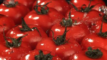 Tomatoes with water drops. Filmed is slow motion 1000 fps. High quality FullHD footage video