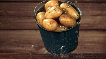 secchio con patate. girato è lento movimento 1000 fps. alto qualità FullHD metraggio video