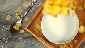 Super slow motion in a plate of milk drop cornflakes. On a gray background.Filmed on a high-speed camera at 1000 fps. video