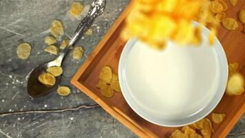 Super slow motion in a plate of milk drop cornflakes. On a gray background.Filmed on a high-speed camera at 1000 fps. video