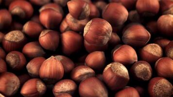 Super slow motion hazelnut falls into a heap. Macro background. Filmed on a high-speed camera at 1000 fps. video