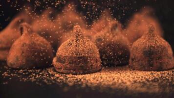 Super slow motion on the truffles is poured with cocoa powder. On a black background. Filmed on a high-speed camera at 1000 fps. video