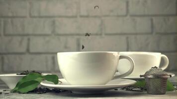 Super slow motion in the cup on the table fall dry tea leaves. On a gray background. Filmed on a high-speed camera at 1000 fps. video