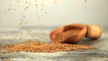 Super slow motion fresh mustard falls on the table. On a gray background. Filmed on a high-speed camera at 1000 fps. video