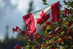 Canadian flag in the lap of nature. Generated by artificial intelligence photo