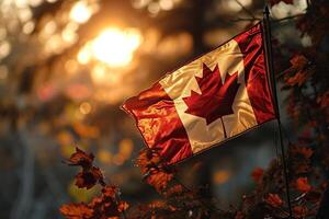 Canadian flag in the light of sunset in the lap of nature. Generated by artificial intelligence photo