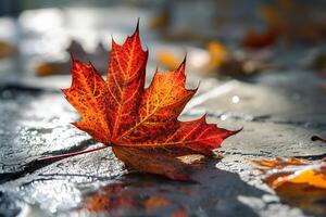 Close-up of a beautiful red maple leaf on the asphalt. Generated by artificial intelligence photo