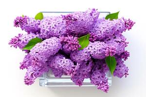 A bouquet of beautiful lilacs in a vase. . photo