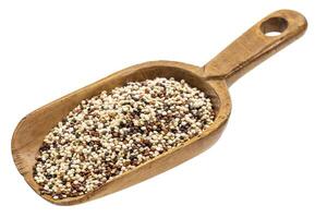 rustic scoop of quinoa grain photo