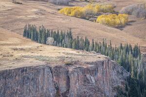 aspen, spruce and sandstone cliff photo