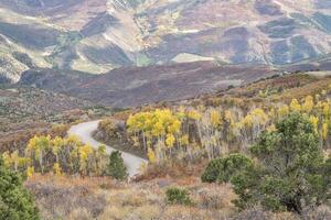 café maceta la carretera con dorado álamo temblón foto