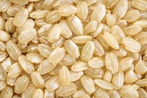 sweet brown rice macro photo