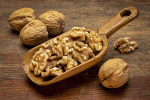 English walnuts on rustic wood scoop photo