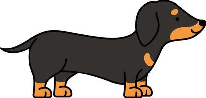 Cute dachshund dog vector