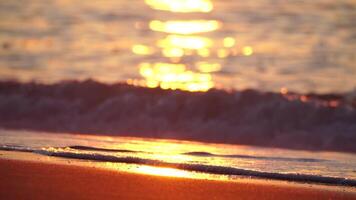 klein Meer Welle, verschwommen Sanft schaumig Wellen Waschen golden sandig Strand auf Sonnenuntergang. Ozean Wellen auf sandig Strand. niemand. Urlaub Erholung Konzept. abstrakt nautisch Sommer- Ozean Sonnenuntergang Natur Hintergrund. video