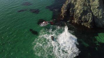 A man flies on a FlyBoard. Aerial top down view. Water extreme sport, azure summer sea with outdoors active people enjoying water sports. Flyboarding and seariding, Recreation and sports concepts. video