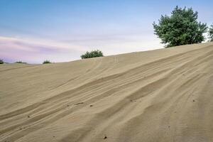 off road vehicle tracks on sand dune photo