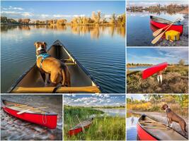 canoe paddling with pit bull dog photo