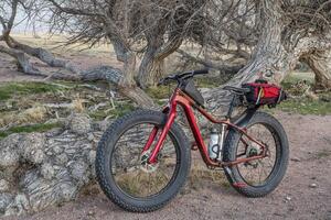 fat mountain bike in Colorado prairie photo