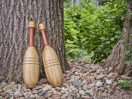 pair of wooden Indian exercise clubs photo