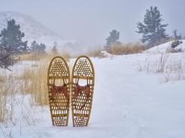 classic Bear Paw wooden snowshoes in Colorado photo